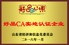 山東魯磁榮譽(yù)證書(shū)