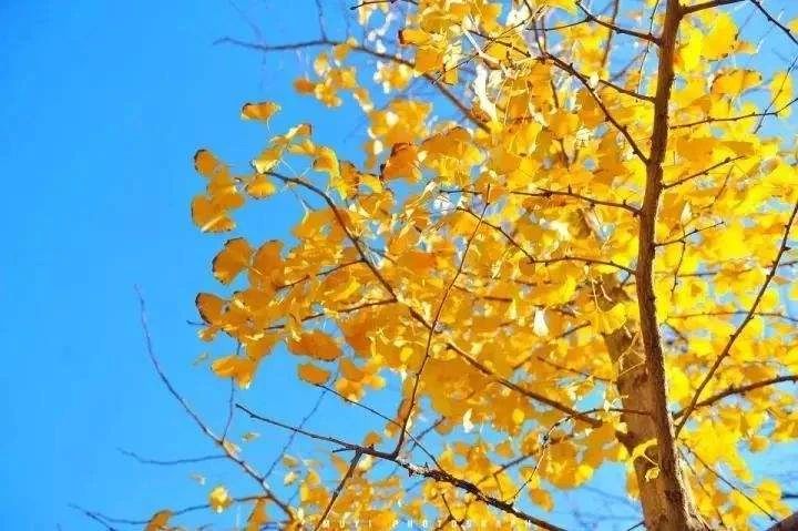 微信圖片_20201102132101.jpg
