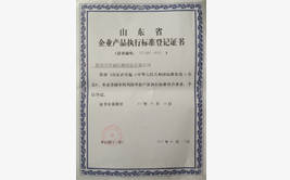 魯磁山東省產(chǎn)品執(zhí)行標(biāo)準(zhǔn)登記書